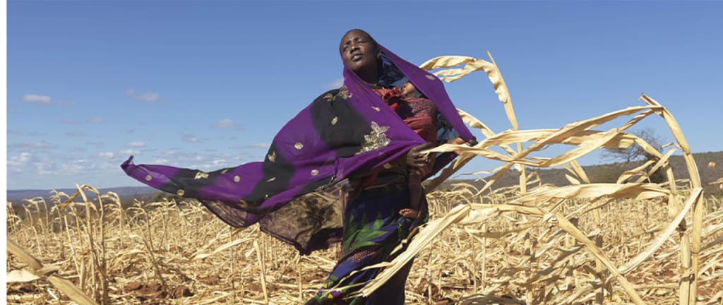 femme research for nutrition